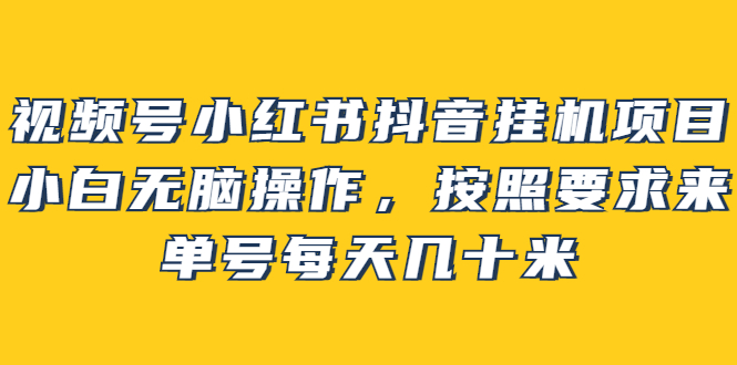 视频号小红书抖音挂机项目，小白无脑操作，按照要求来，单号每天几十米-好课资源网