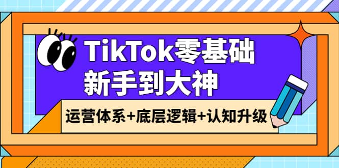 TikTok零基础新手到大神：运营体系 底层逻辑 认知升级（9节系列课）-好课资源网