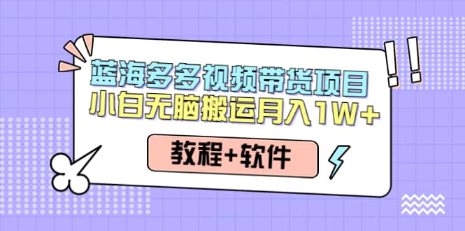 人人都能操作的蓝海多多视频带货项目 小白无脑搬运（教程 软件）-好课资源网