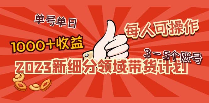 2023新细分领域带货计划：单号单日1000 收益不难，每人可操作3-5个账号-好课资源网