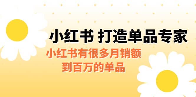 某公众号付费文章《小红书 打造单品专家》小红书有很多月销额到百万的单品-好课资源网