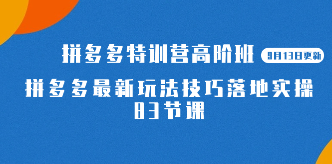 2023拼多多·特训营高阶班【9月13日更新】拼多多最新玩法技巧落地实操-83节-好课资源网