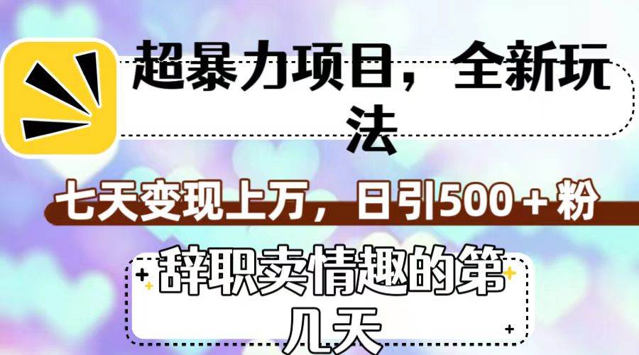 超暴利项目，全新玩法（辞职卖情趣的第几天），七天变现上万，日引500 粉-好课资源网