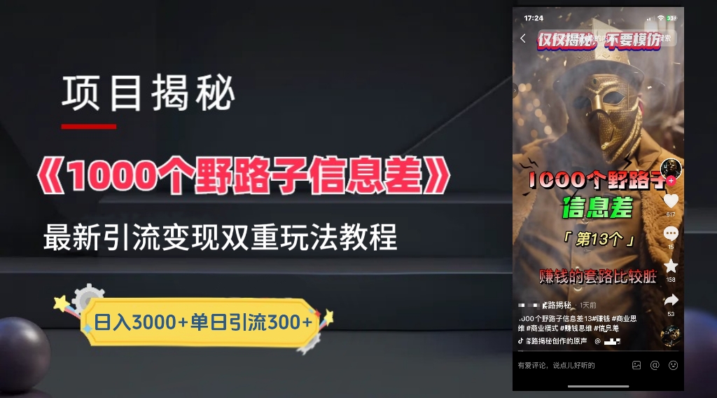 一千个野路子信息差24年最新玩法教程附带变现方法和引流的玩法具体拆解-好课资源网