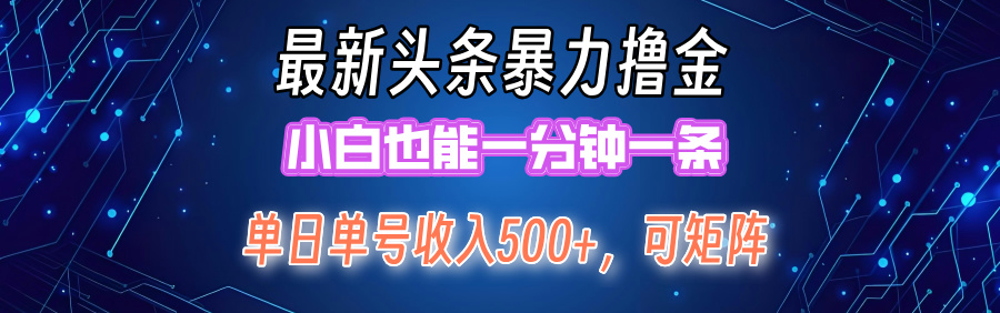 最新头条撸金，小白也能一分钟一条-好课资源网