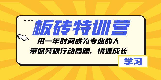 板砖特训营，用一年时间成为专业的人，带你突破行动局限，快速成长-好课资源网